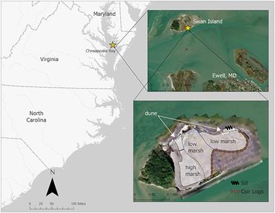 Beneficial use of sediments to restore a Chesapeake Bay marsh island